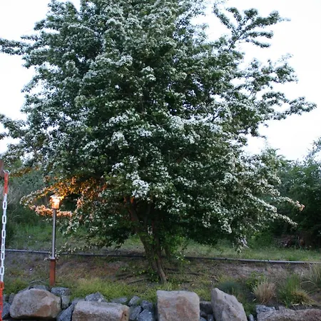 Wegmann 아파트 *